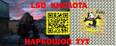 амф Можга