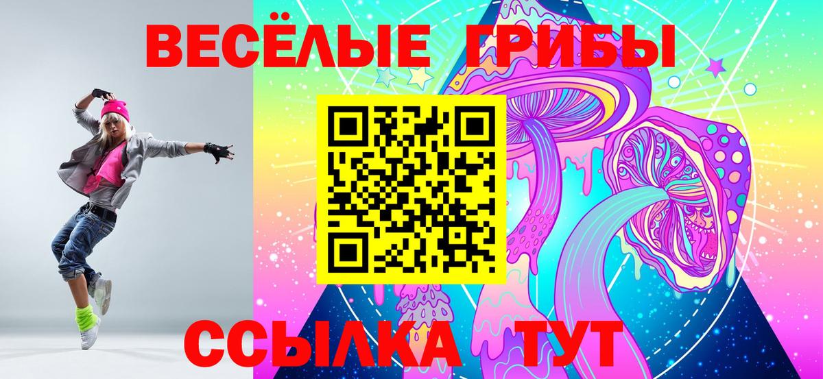 купить закладку  Вход с VPN  Рубцовск  Псилоцибиновые грибы MAGIC MUSHROOMS 